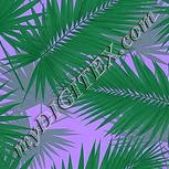 Colour:C