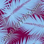 Colour:F