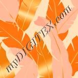 Colour:J