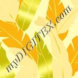 Colour:K