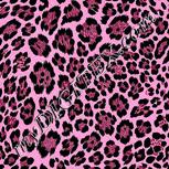 Colour:B