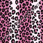 Colour:B