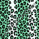 Colour:C