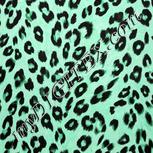 Colour:C