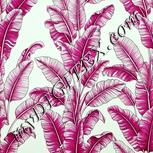 Colour:C