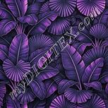 Colour:B