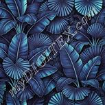 Colour:C