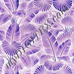 Colour:F