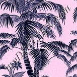 Colour:F