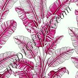 Colour:C