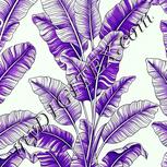 Colour:D