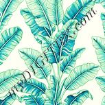 Colour:K