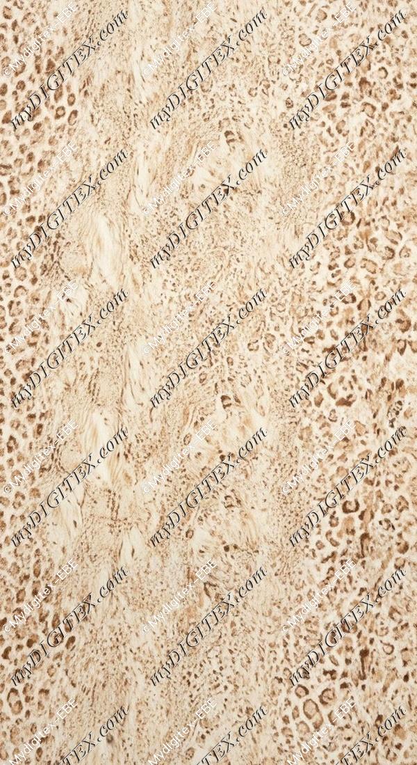 EBE 0007946