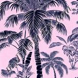 Colour:F