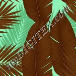 Colour:A