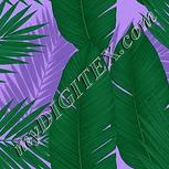 Colour:C