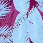 Colour:F