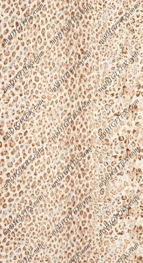 EBE 0007953