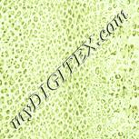 Colour:K