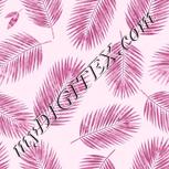 Colour:B