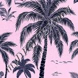 Colour:F