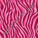 Colour:B