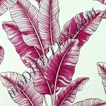 Colour:C
