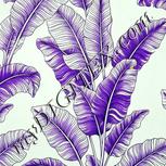 Colour:D