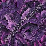 Colour:B