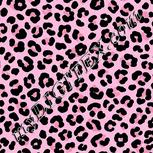 Colour:B