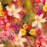 Colour:J