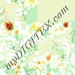Colour:K