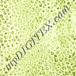 Colour:K