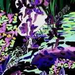 Colour:F