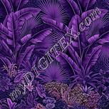 Colour:B