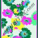 Colour:B