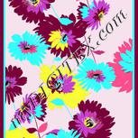 Colour:C