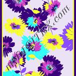 Colour:D