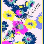 Colour:J