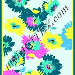 Colour:K