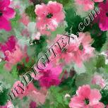 Colour:B