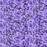 Colour:D