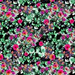 Colour:B