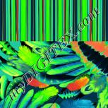 Colour:F