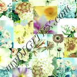 Colour:K