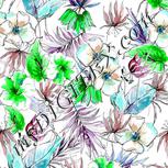Colour:C