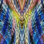 Colour:F