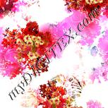 Colour:B