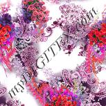Colour:B