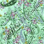 Colour:K